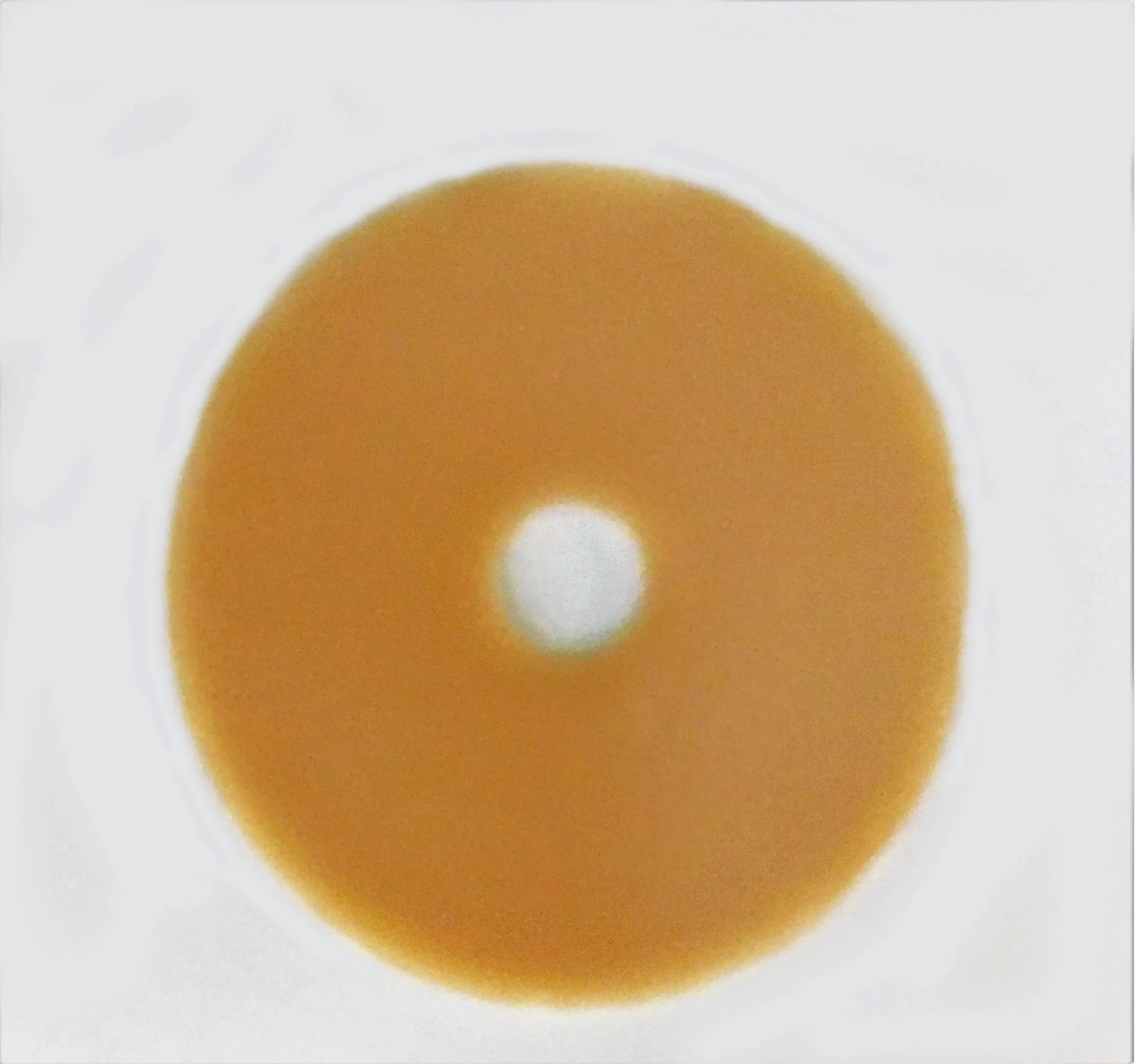 Adapt Skin  Barrier Rings  (Flat) Flextend Material