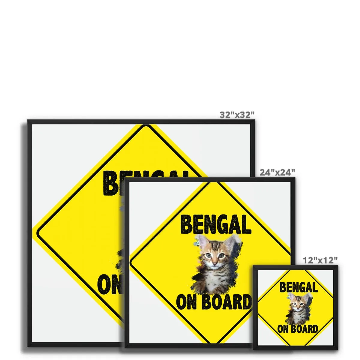 Bengal on Board  Framed Canvas