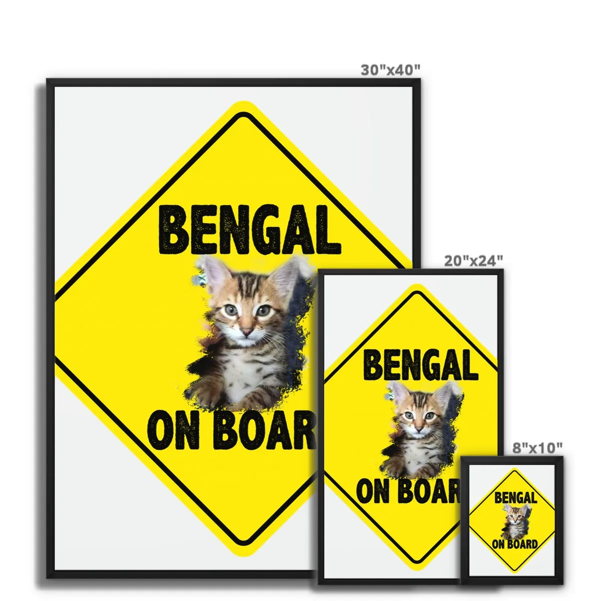 Bengal on Board  Framed Canvas