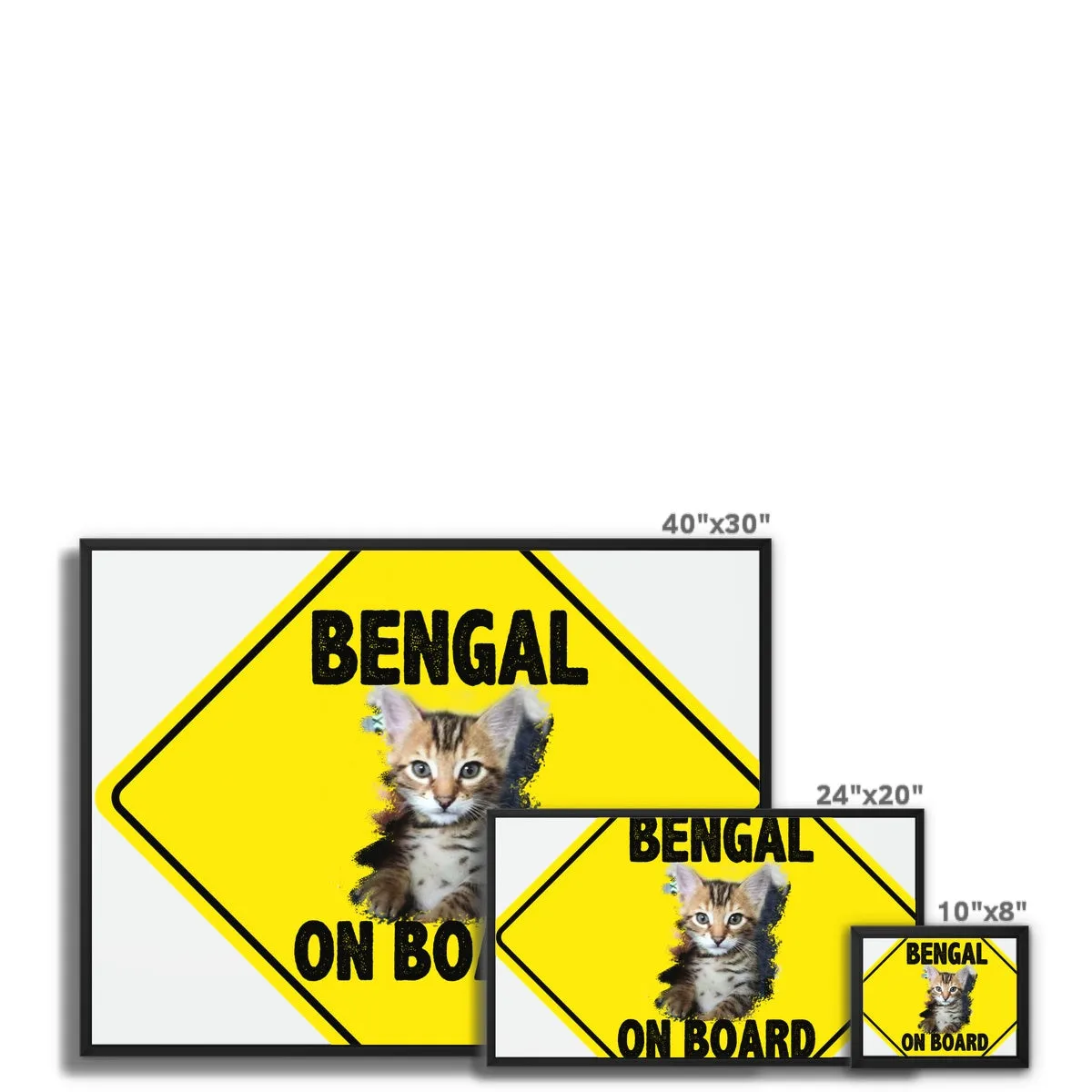 Bengal on Board  Framed Canvas