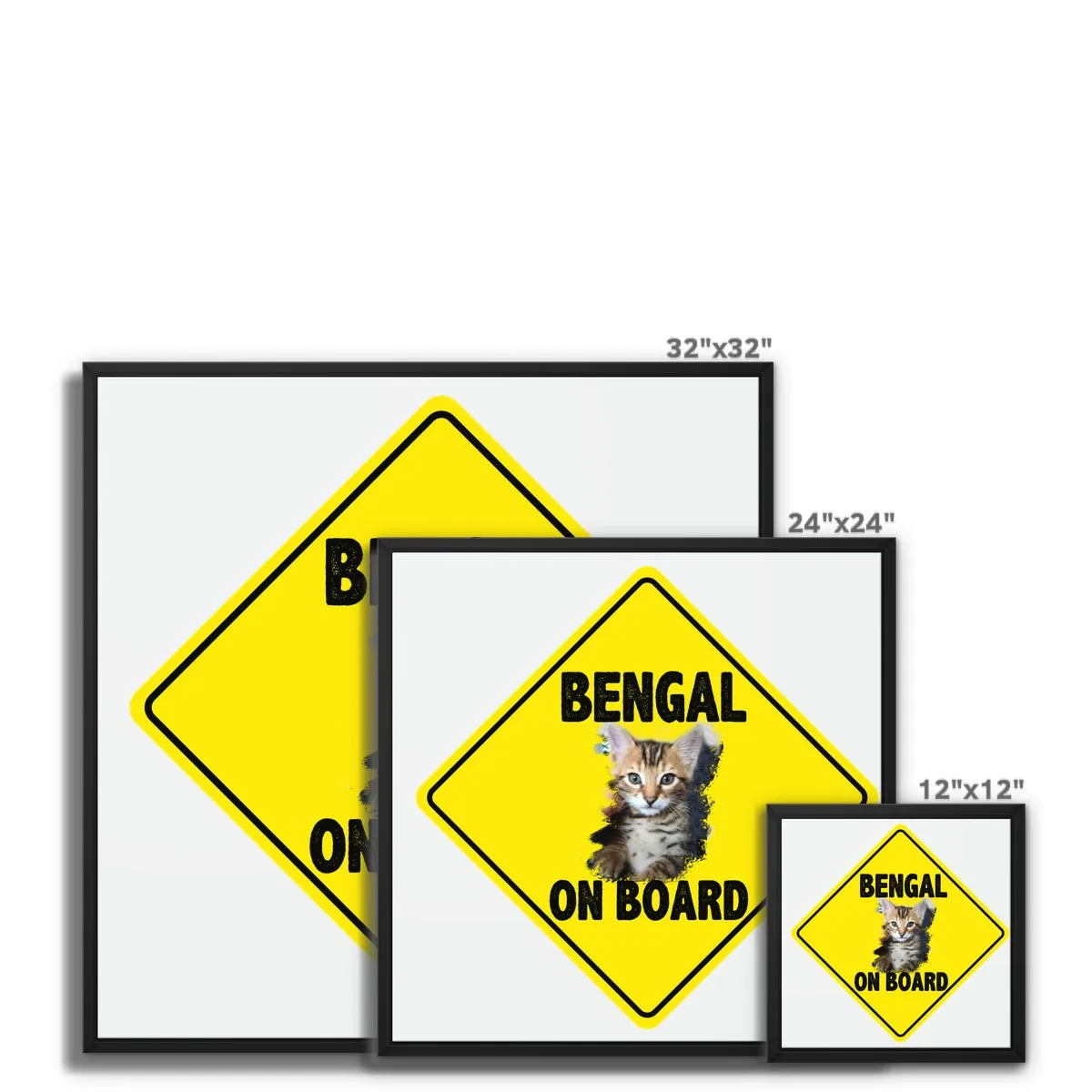 Bengal on Board  Framed Canvas