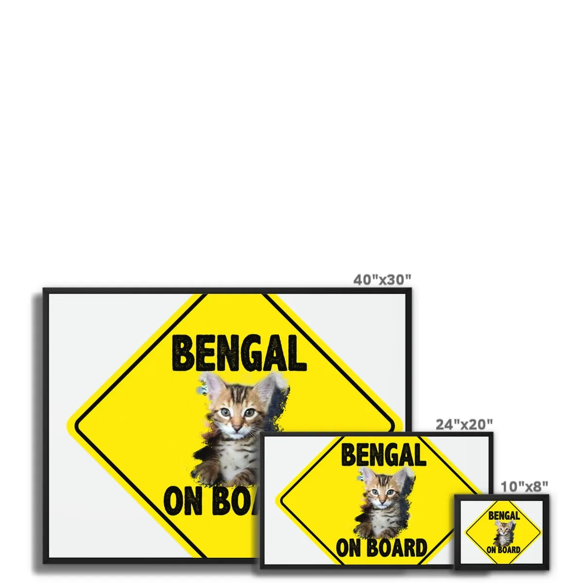 Bengal on Board  Framed Canvas