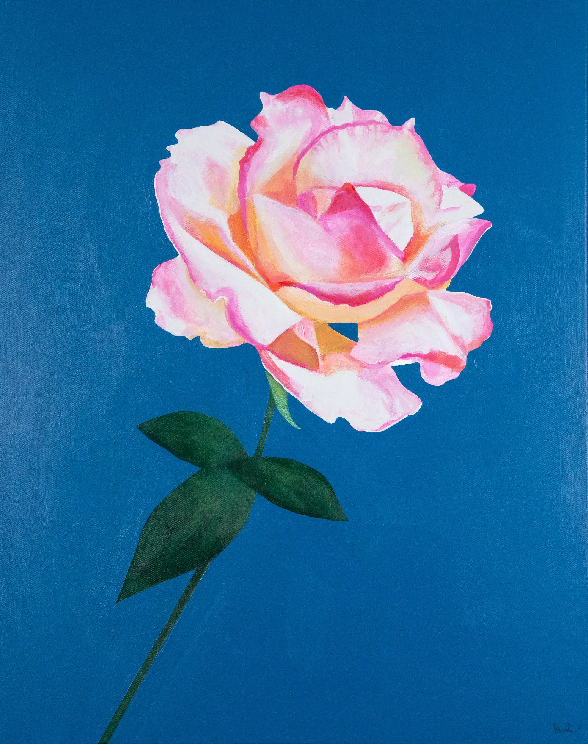 CHARLES PACHTER "AUGUST ROSE" ACRYLIC ON CANVAS, 2021