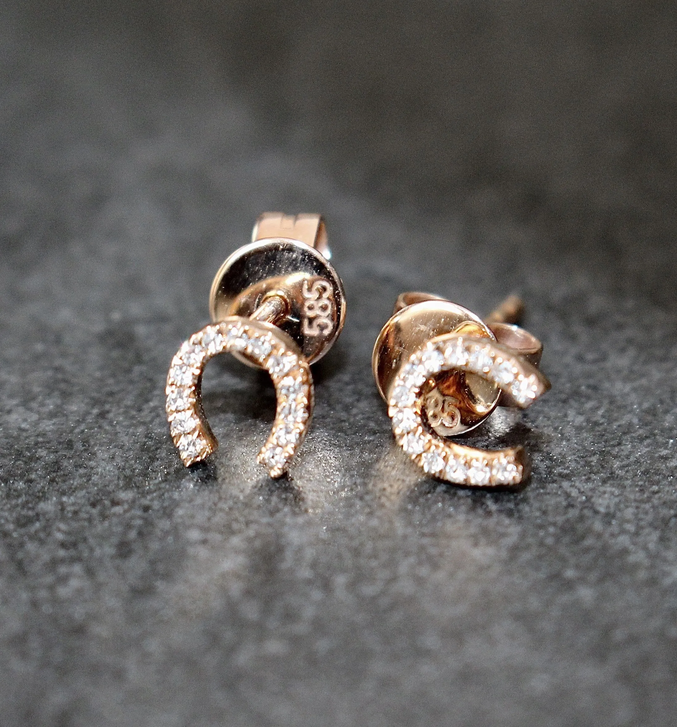 Diamond Horseshoe Earrings