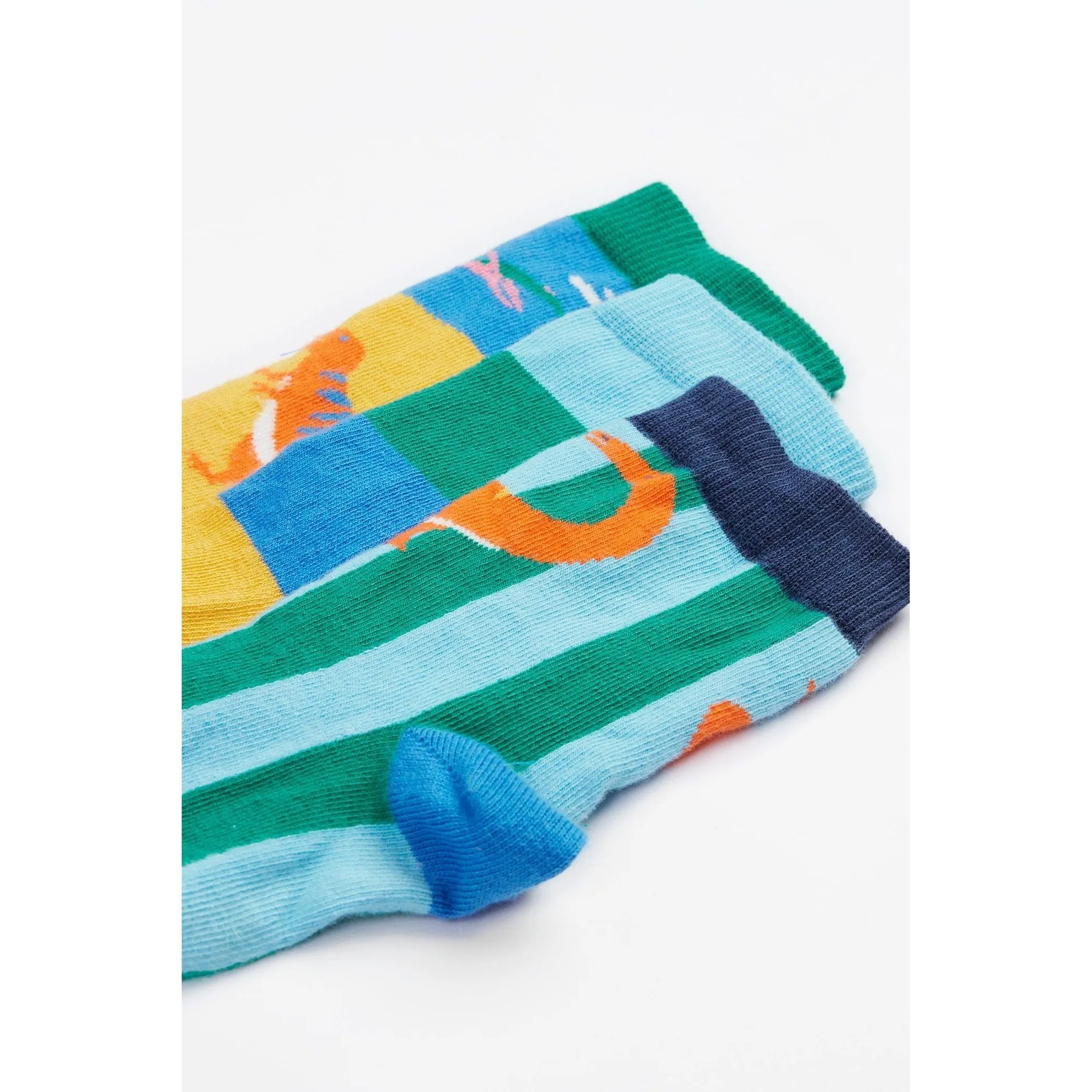Dino-Roar Rock My Socks -3 Pack