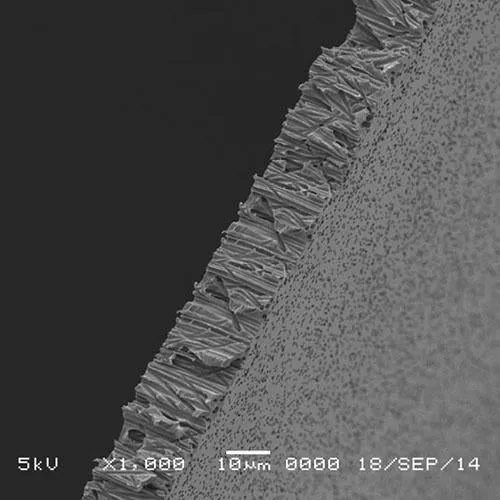 GVS 1220868 Poretics™, Filtration Membrane Polycarbonate Track Etched Hydrophilic 25mm 0.05 µm