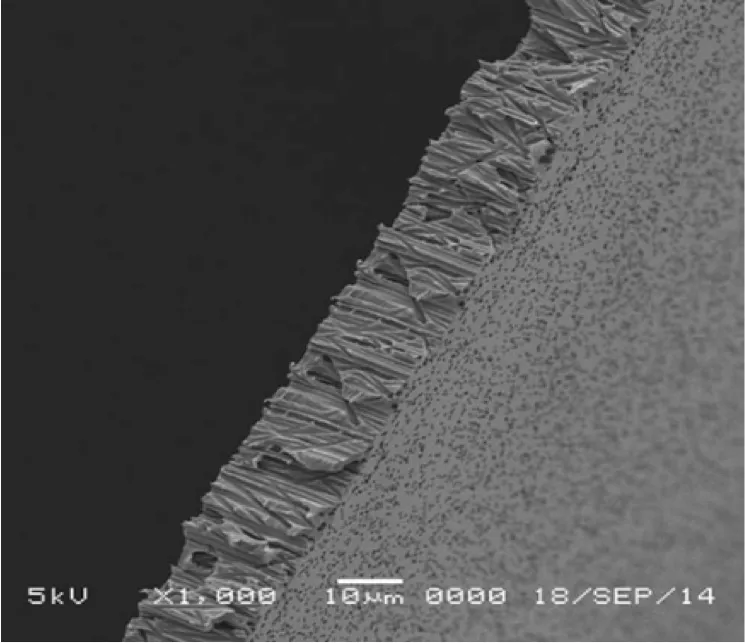 GVS 1220868 Poretics™, Filtration Membrane Polycarbonate Track Etched Hydrophilic 25mm 0.05 µm
