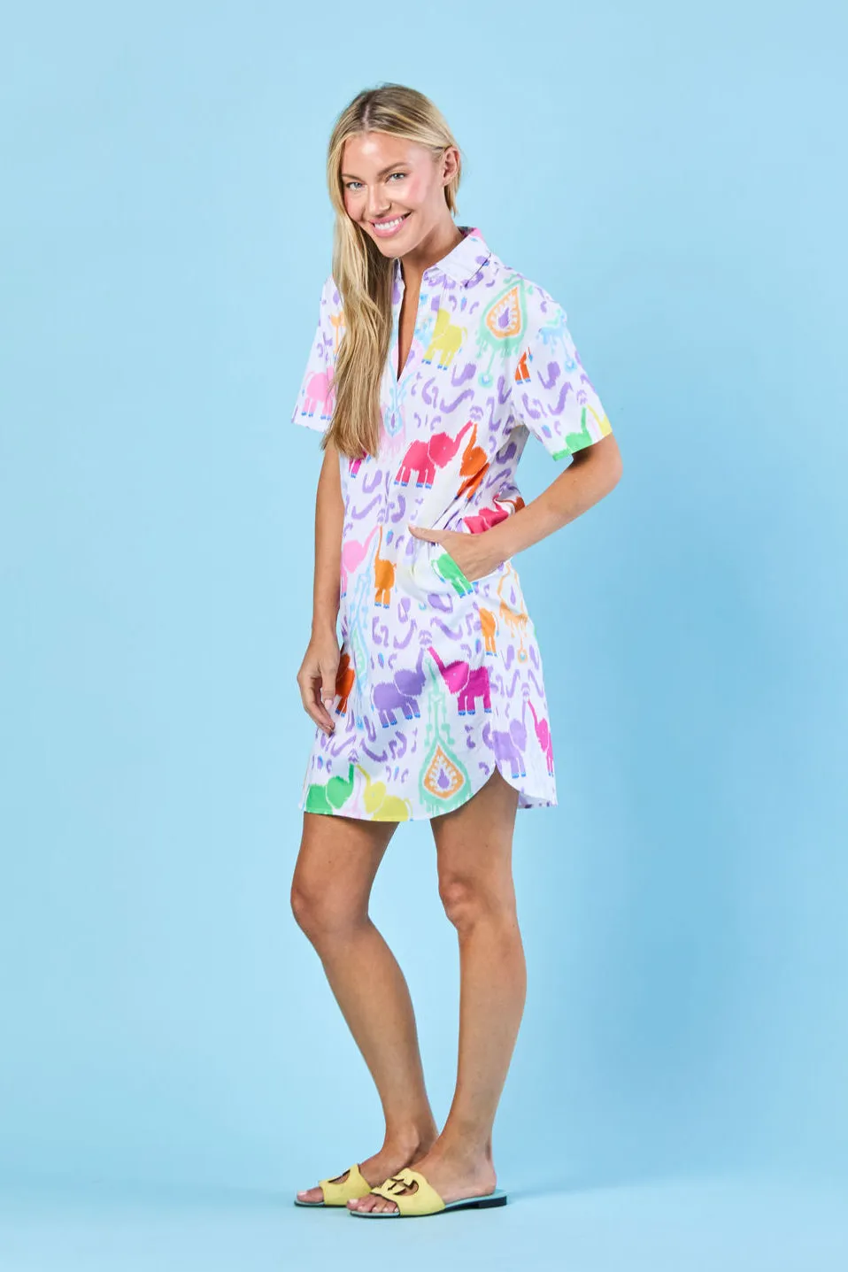 Mallory Dress in Confetti Trunk Show