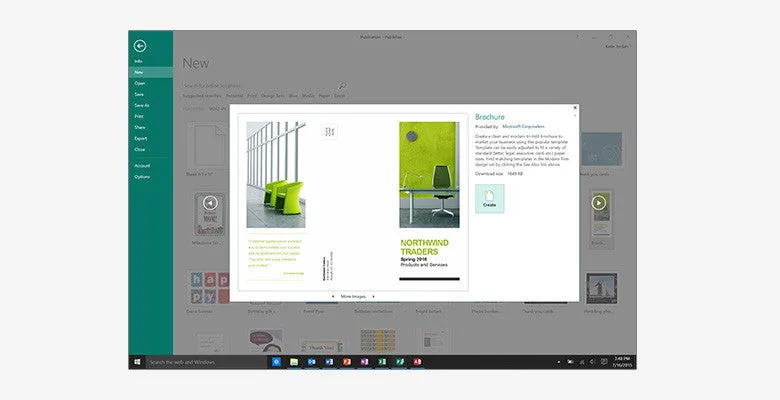 Microsoft Office 2016 Professional Plus (1PC)