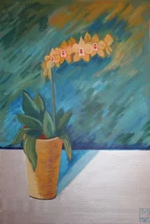 Orchid