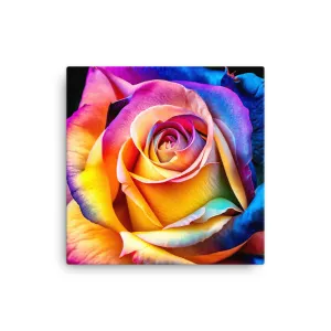 Rainbow Rose