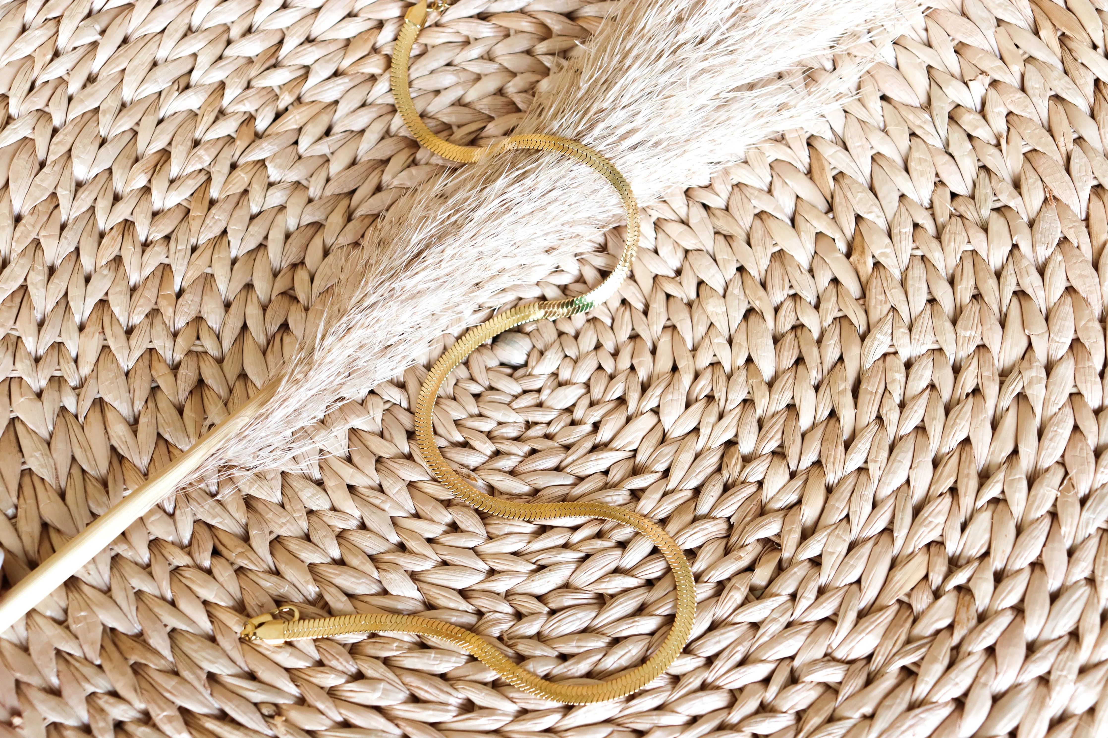 snake flat necklace