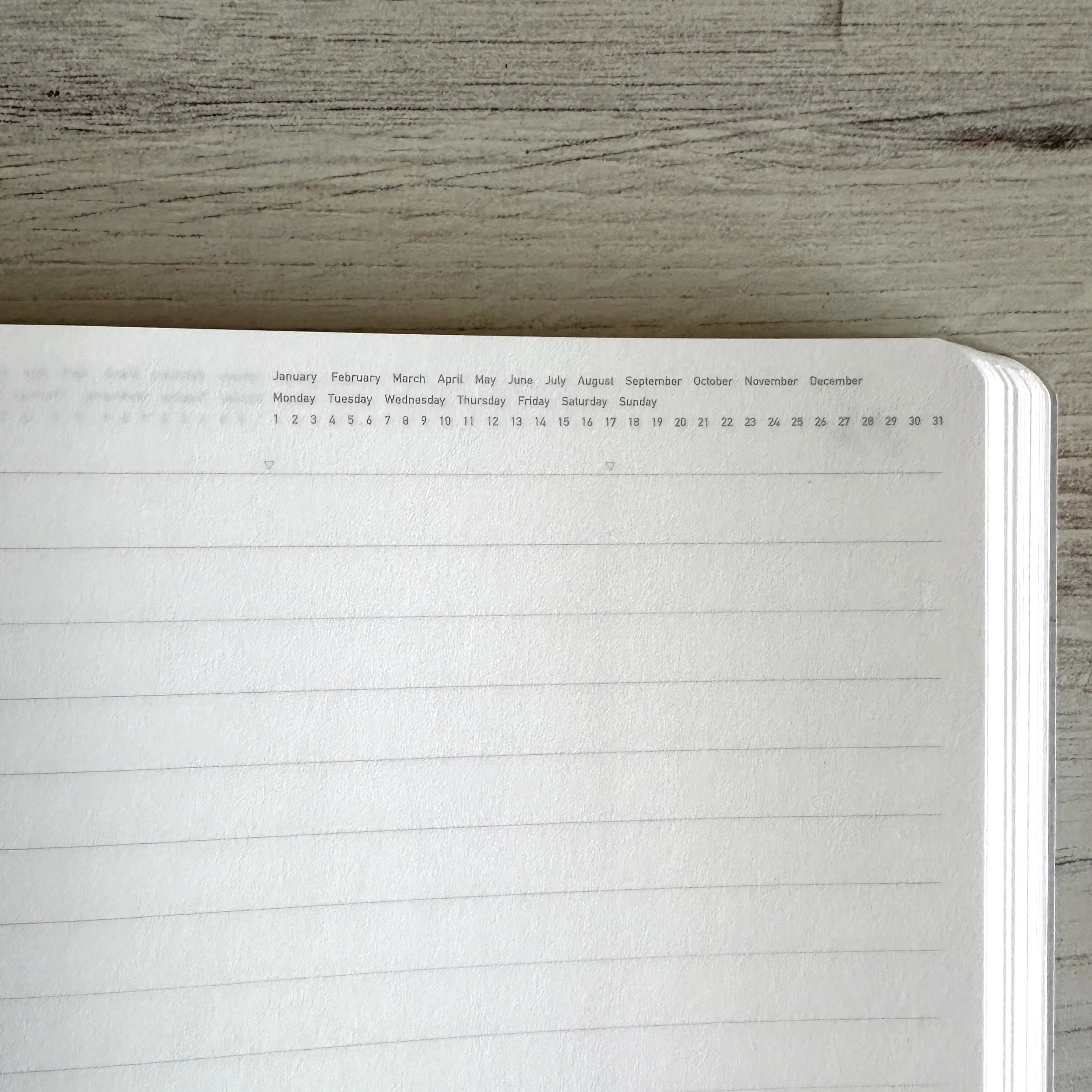 [Stalogy Notebook] 365 Days "LINE" (A5)