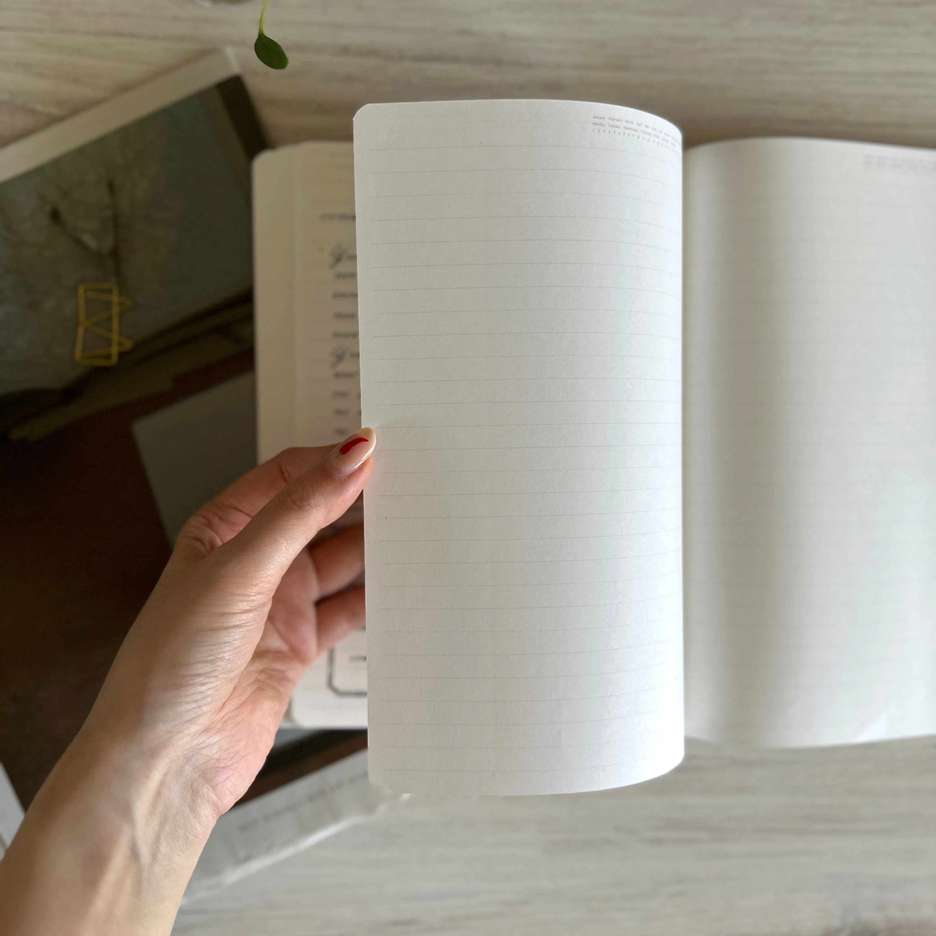 [Stalogy Notebook] 365 Days "LINE" (A5)