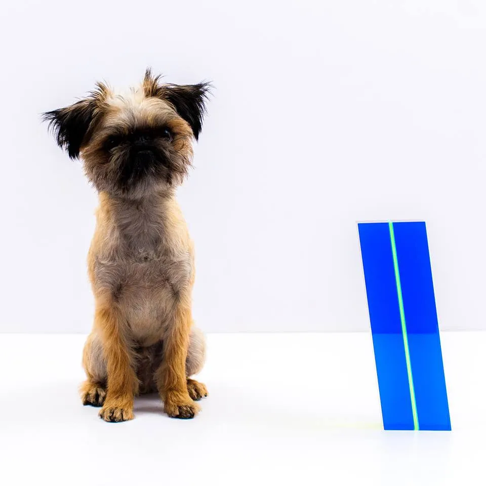VASA MIHICH "BLUE KRYPTONITE" 2014